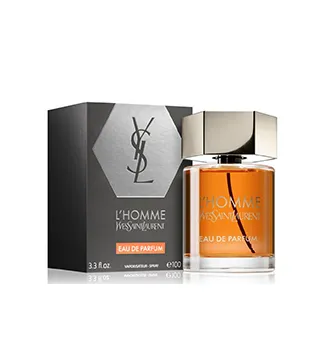 Yves Saint Laurent Yves l Homme 100ml EDP